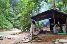 camp jungle trekking bukit lawang sumatra