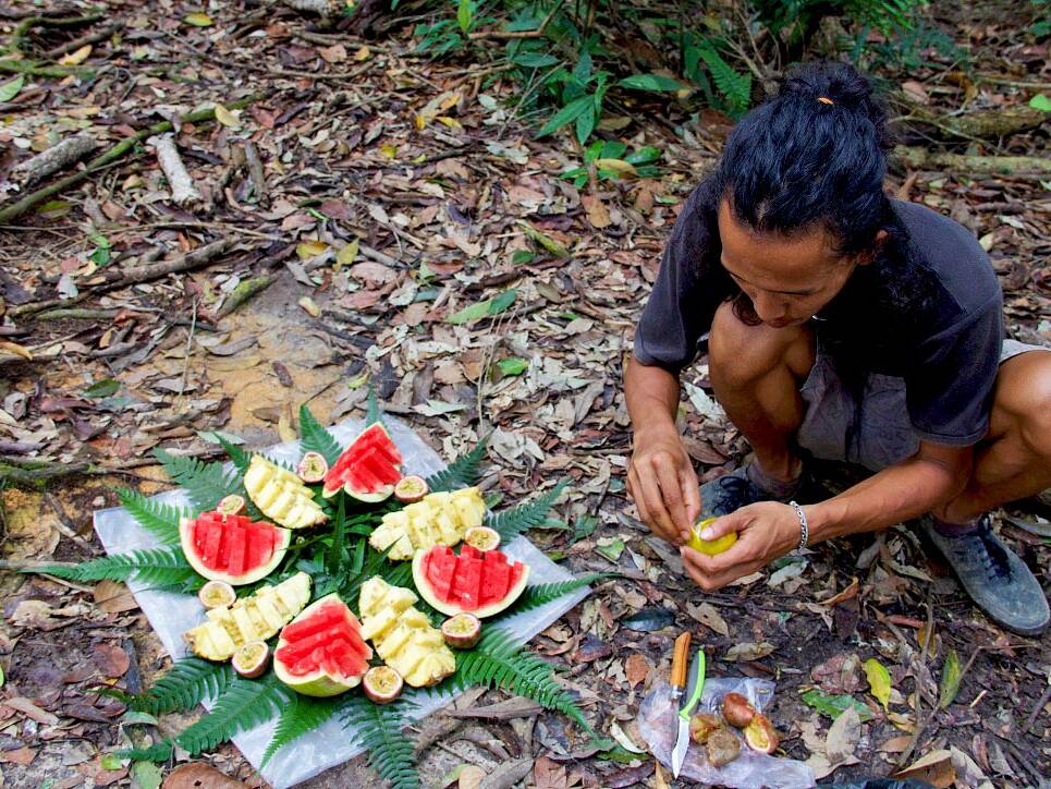 fruits bukit lawang jungle trekking sumatra