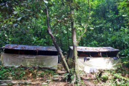 jungle camp trekking bukit lawang sumatra