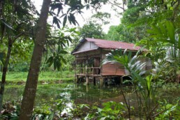 jungle house bukit lawang sumatra