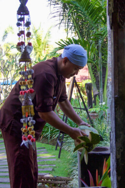 coconuts desa seni canggu bali