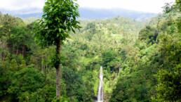 Sekumpul waterfall in North Bali