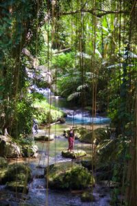 jungle gunung kawi river bali