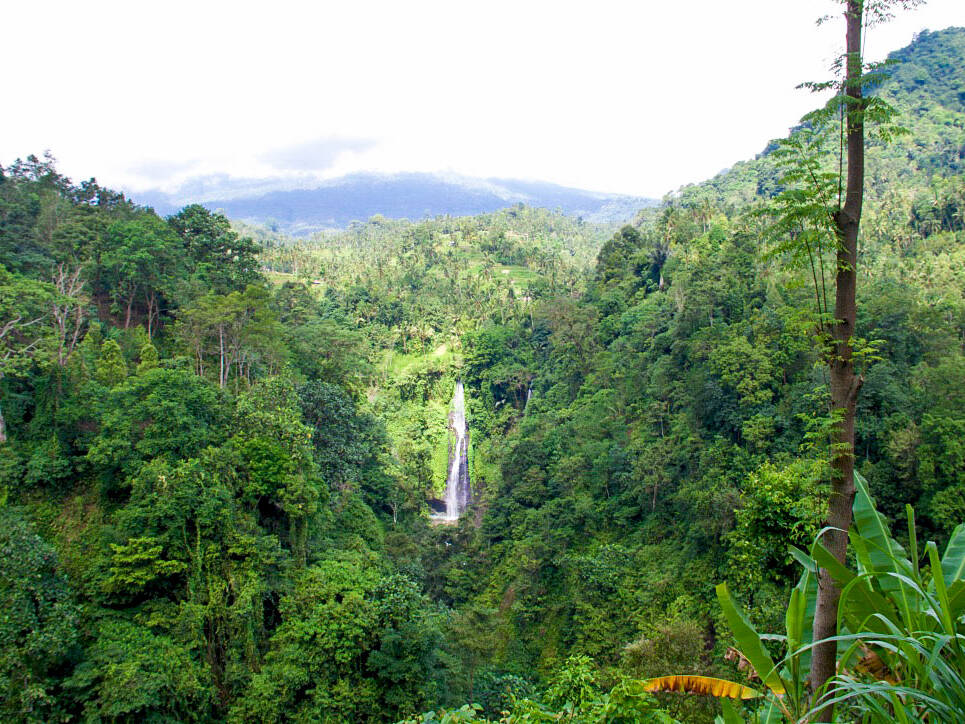 nature hills forest sekumpul waterfalls north bali