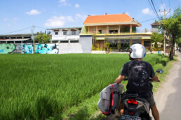 rice fields canggu faith21 tshirts bali bike monkeys
