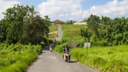 rice fields canggu bali