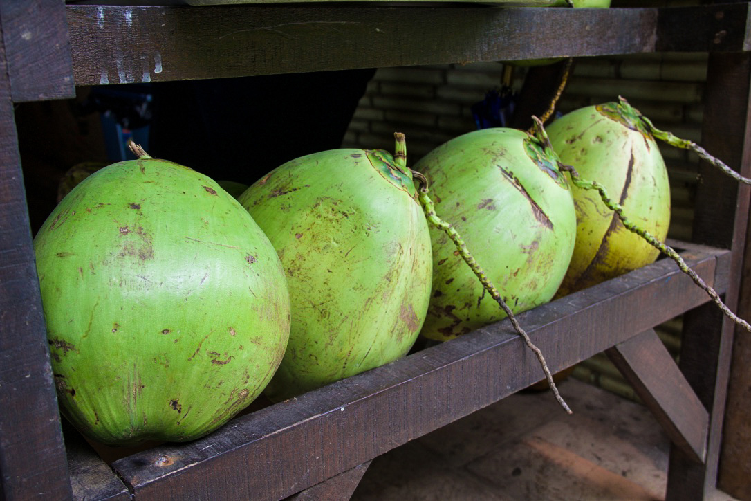 coconuts pondok pitaya balian beach bali