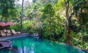 infinity pool svarga loka wellness resort ubud bali