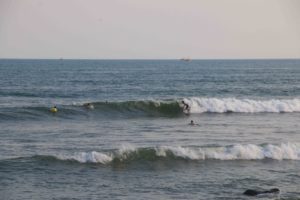 surfing waves in Cimaja Java Indonesia