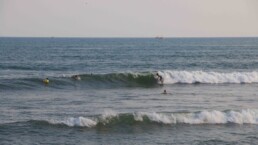 surfing waves in Cimaja Java Indonesia