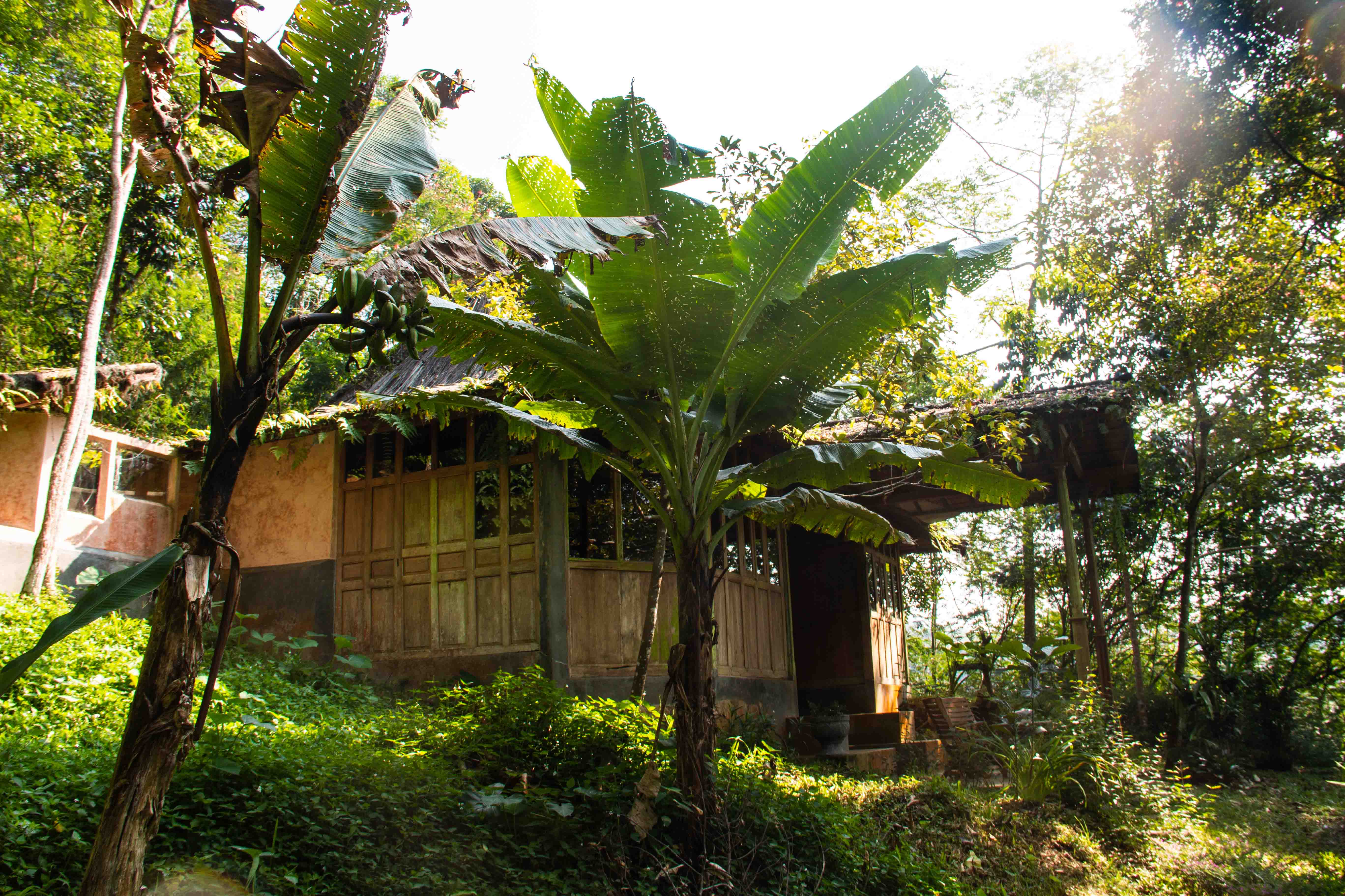 room_jungle_lodges_ekologica_java - Mokum Surf Club