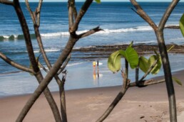 Surfers at Popoyo beach Nicaragua