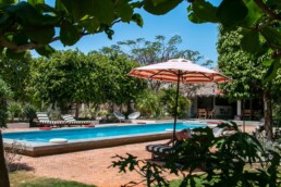 Malibu Popoyo swimming pool in Nicaragua