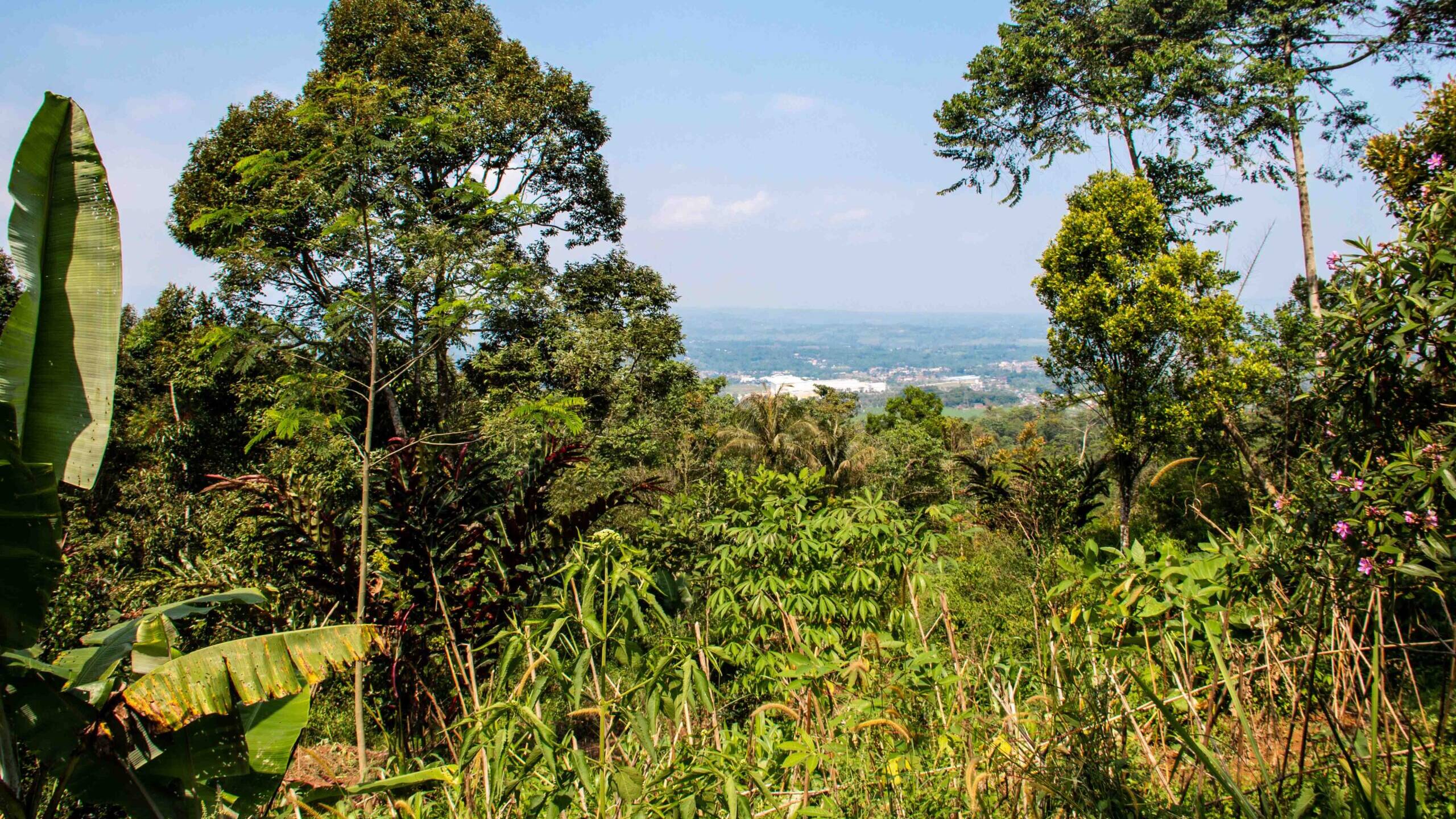 view java at lodges ekologica at portibi farms