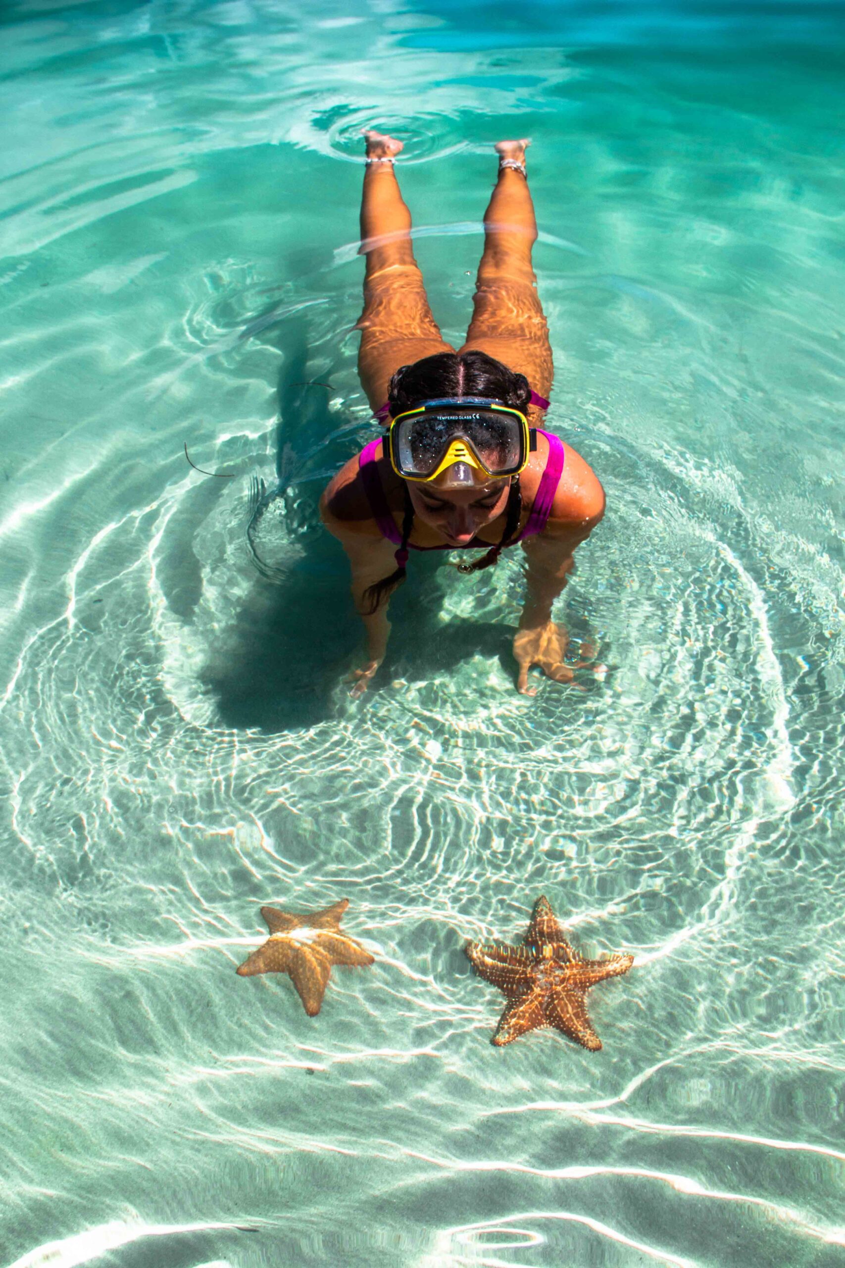 Starfish at Playa Estrella Bocas del Toro