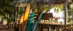 surfboards Rancho Burica Costa Rica