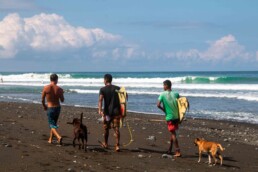 surfers Pavones Costa Rica