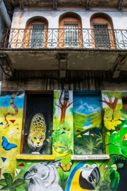 Jungle street art Casco Viejo Panama City