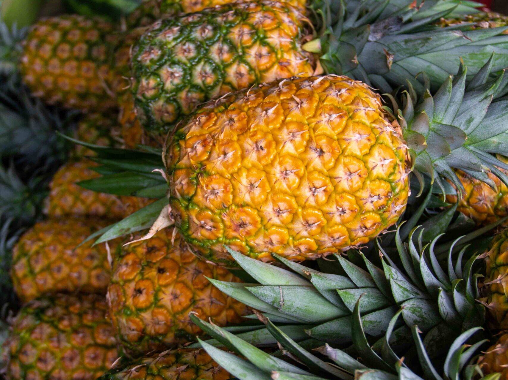 Pineapples in Costa Rica