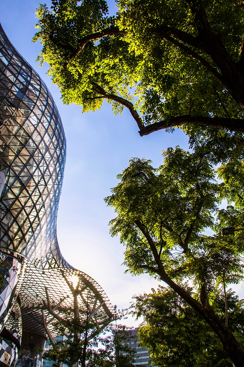 Travel photography of architecture in Singapore
