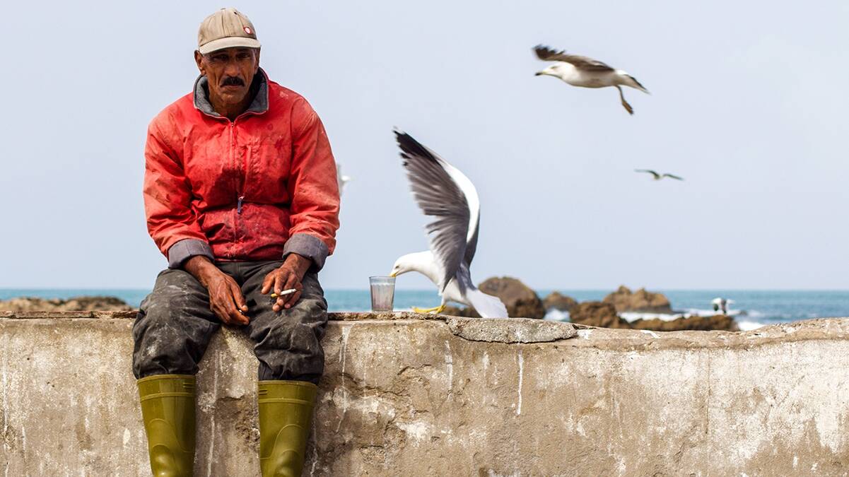 Fisherman and seagulls in Essaouira Morocco