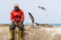 Fisherman and seagulls in Essaouira Morocco