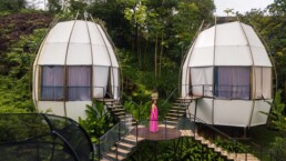 Coco pods at Art Villas Costa Rica