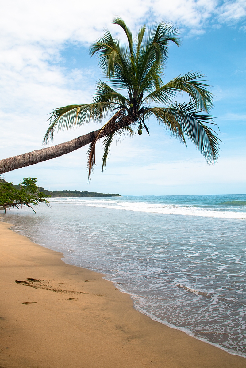 Playa Manzanillo Costa Rica