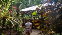 Garden Congo Bongo hotel Costa Rica
