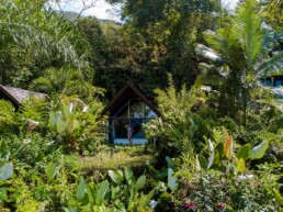 Glass houses at Oxygen Jungle Villas hotel in Costa Rica