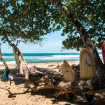 Caribbean Coast of Costa Rica: The Ultimate Guide - Mokum Surf Club