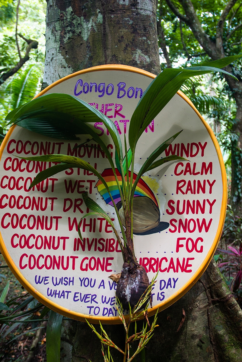Weather forecast at Congo Bongo EcoVillage Costa Rica