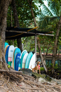 Surf spot Zeneidas Santa Teresa beach Costa Rica
