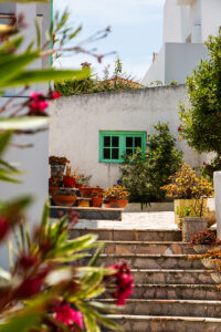 Garden of Ola Onda Guesthouse in Ericeira