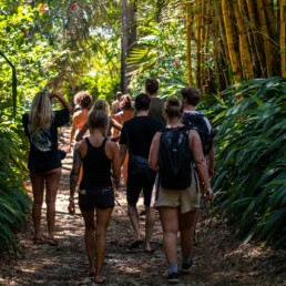 Jungle hike during Mokum Surf Club retreat in Costa Rica