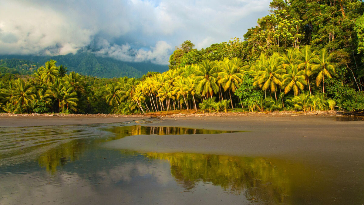 Beach in Uvita Costa Rica